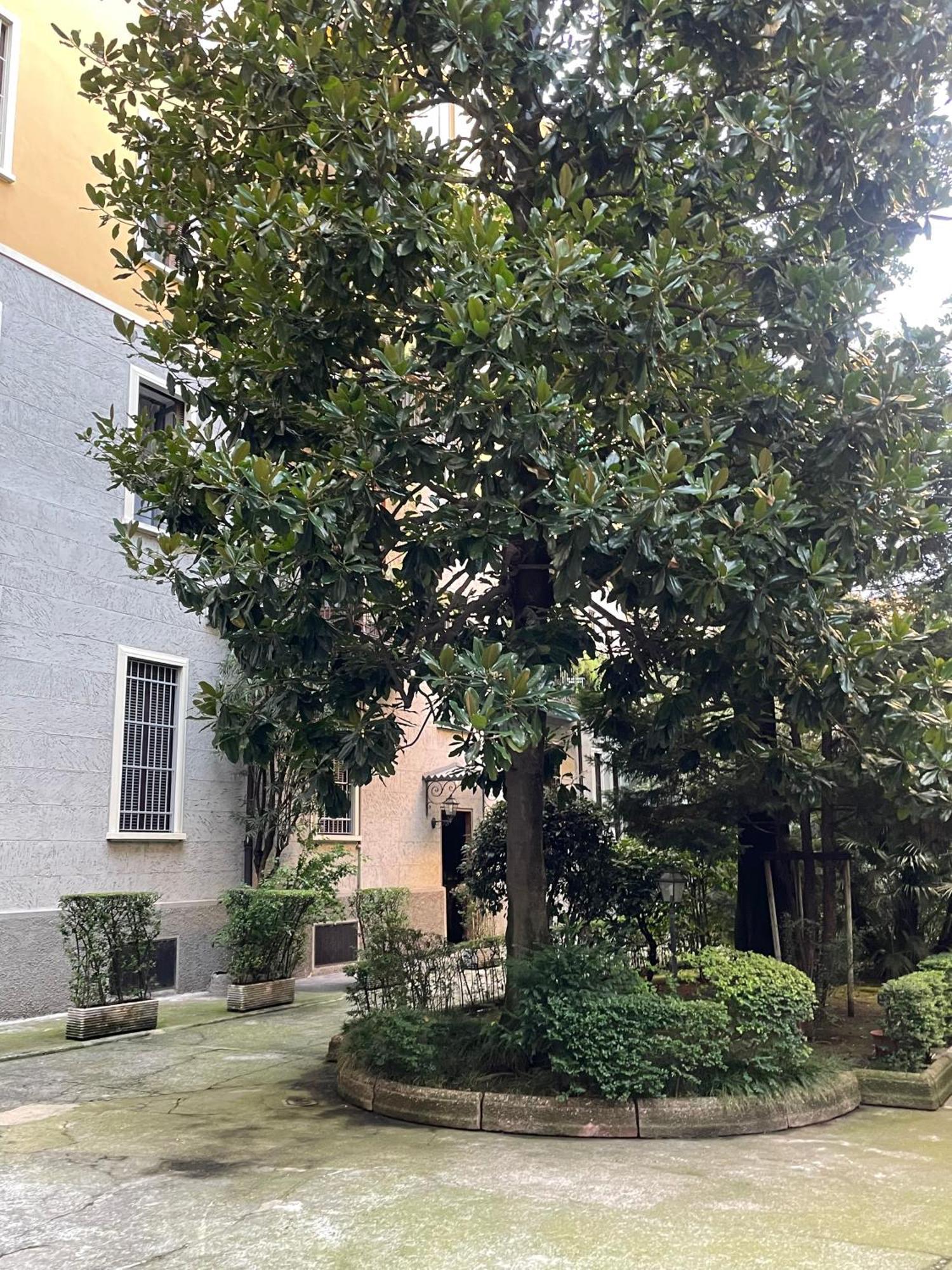 Viale Brianza Apartment ミラノ エクステリア 写真